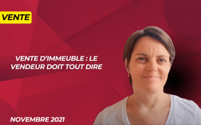 Vente d’immeuble : le vendeur doit tout dire