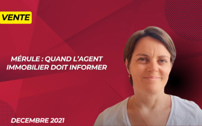 Mérule : quand l’agent immobilier doit informer