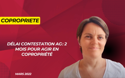 Délai contestation AG : 2 mois pour agir en copropriété