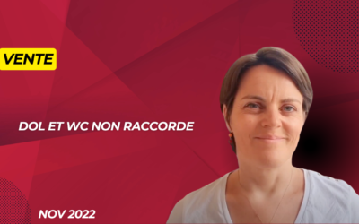 WC non raccordé : responsabilité du vendeur engagée ?