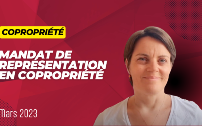 Copropriété : qui peut contester un mandat de représentation