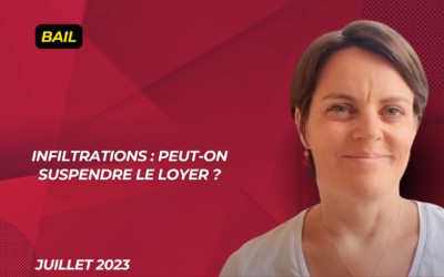 Infiltrations : peut-on suspendre le paiement du loyer ?