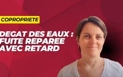 Responsabilité du syndicat des copropriétaires