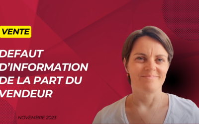 Vente immobilière : recours en cas de défaut d’information