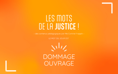 Les mots de la justice : dommage ouvrage