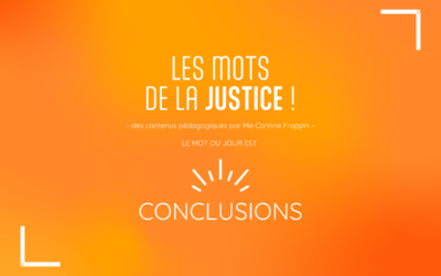 Les mots de la justice : Conclusions