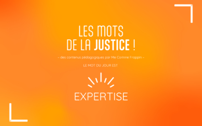 Les mots de la justice : expertise