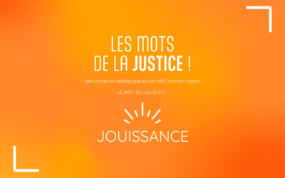 Les mots de la justice : jouissance