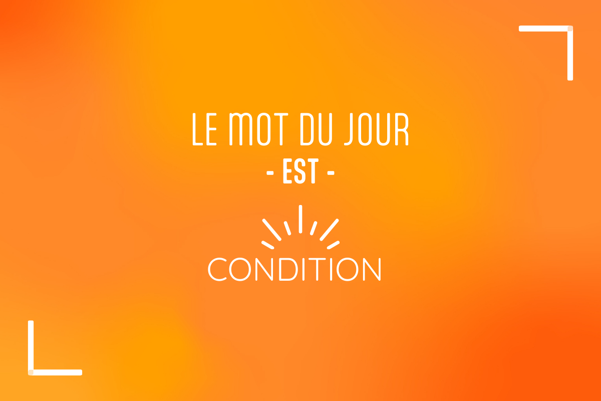 les mots de la justice : condition description condition juridique
