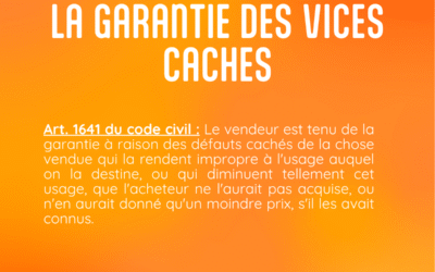 Vice Caché Immobilier : droits et recours de l’acquéreur