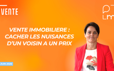 Vente immobilière : le risque du voisin dissimulé